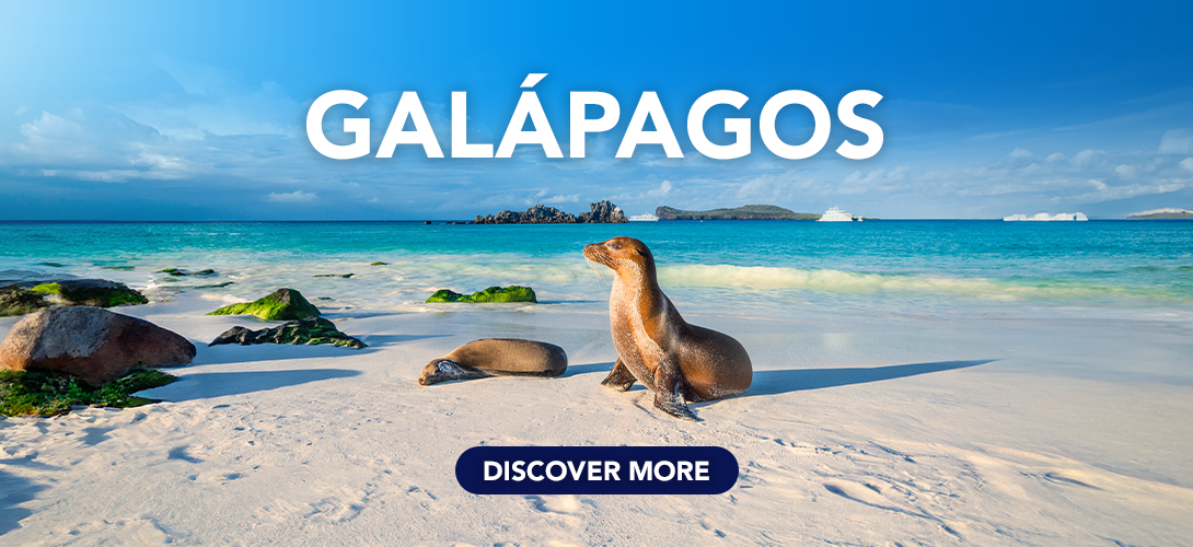 Galapagos